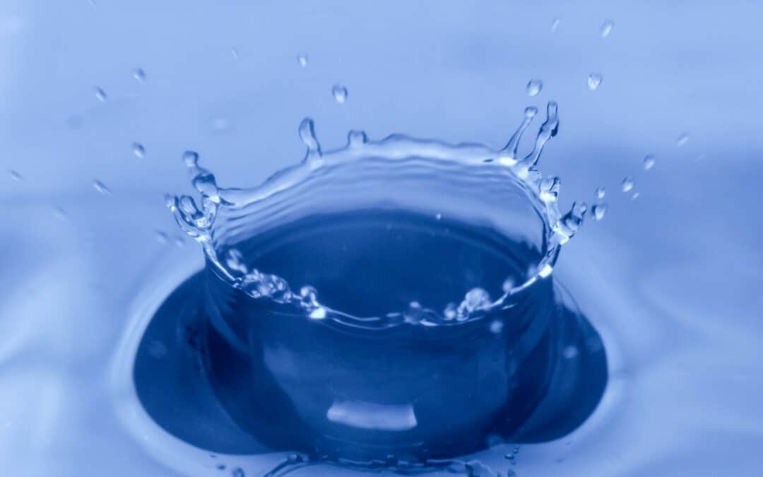 Next step in project LAB – Circular Water